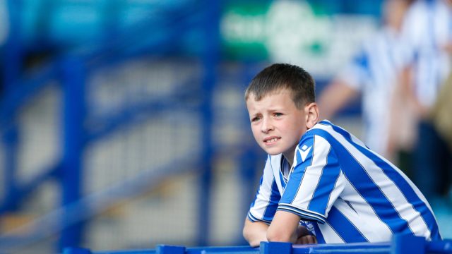 A fan of Sheffield Wednesday watches on — Photo by operations@newsimages.co.uk